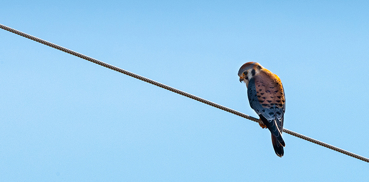 202207261535.jpg 1585882499678697.jpg